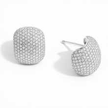 Load image into Gallery viewer, GALA Silver Earrings
