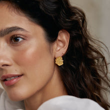 Load image into Gallery viewer, Earrings - Ibiza Passion
